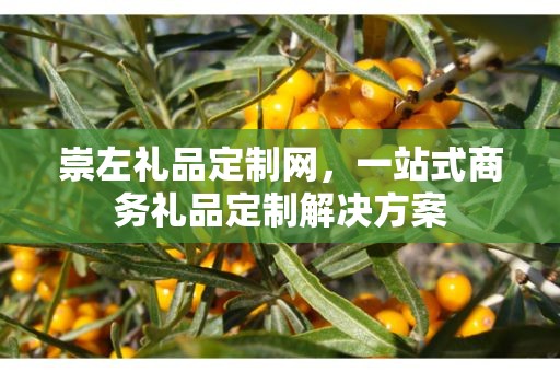 崇左礼品定制网，一站式商务礼品定制解决方案